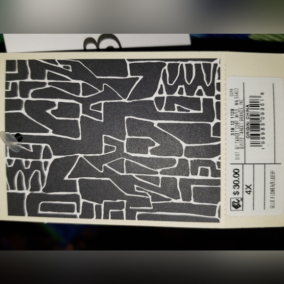 Sammy B for Target Black History Month- Full Outfit- Top, Bottom, and Jacket - Picture 8 of 10